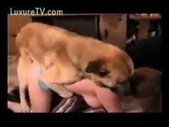 Three animals are being engulfed and fucked for the husband by a thick, older, cum-loving floozy.